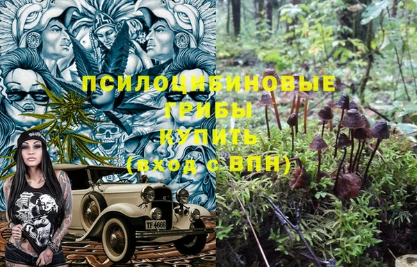 мдма Пролетарск