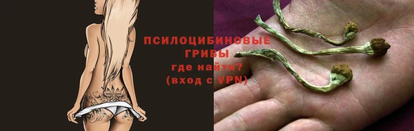 МДПВ Россошь