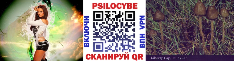 Псилоцибиновые грибы GOLDEN TEACHER  Купить  Зубцов 